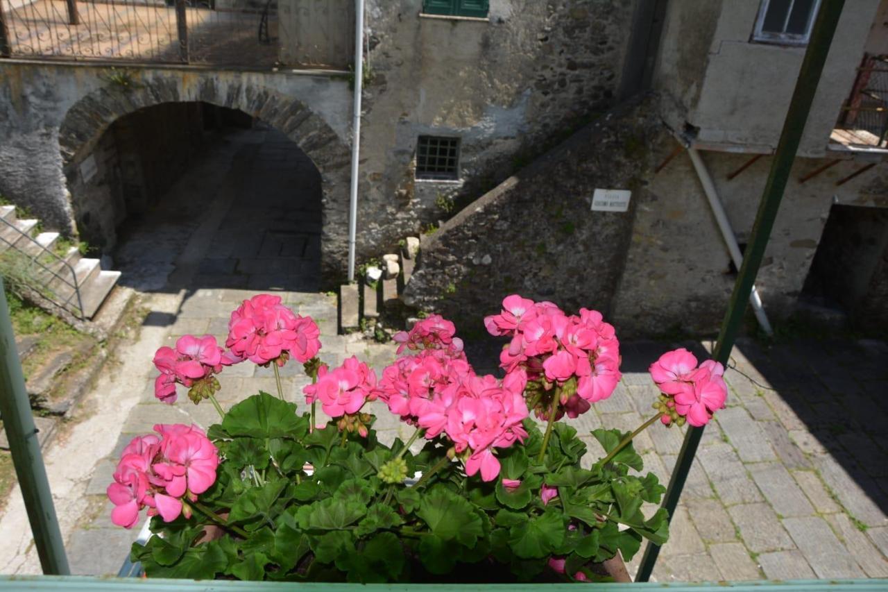 Agriturismo Ghirlanda Norma Rita Карродано-Инферьоре Экстерьер фото